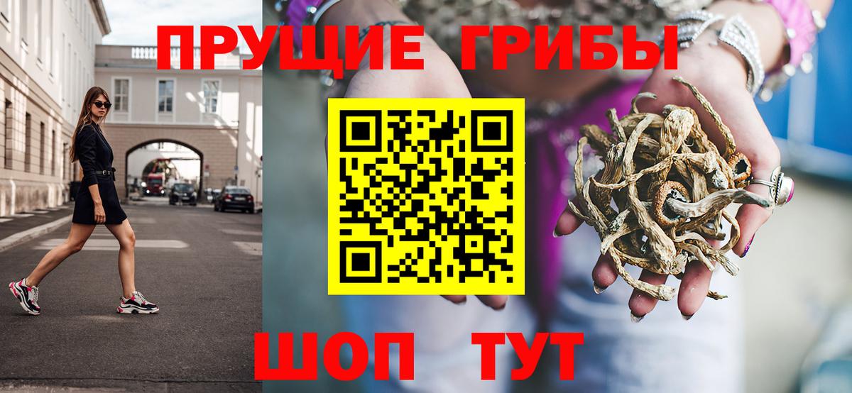 Псилоцибиновые грибы Psilocybine cubensis Сунжа